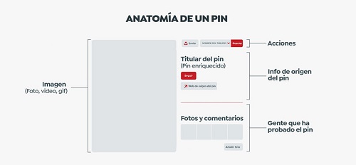 anatomía de un pin